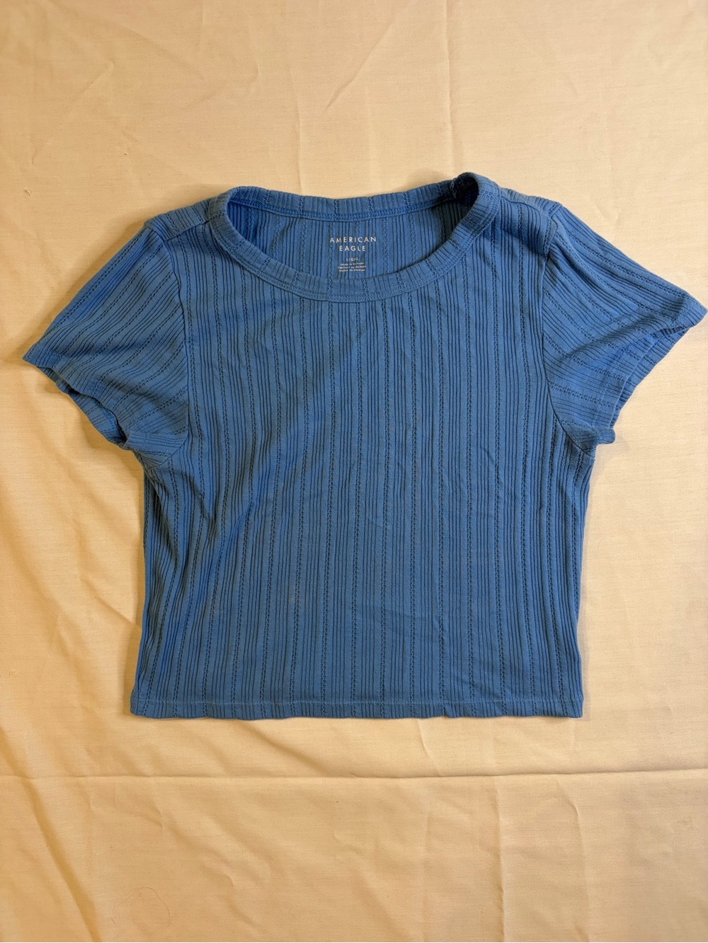 American Eagle Outfitters Blue Ribbed Crewneck Tee